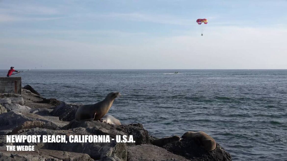 Newport Beach, California – Travel Tour 4K HD Newport Beach, California - Travel Tour 4K HD