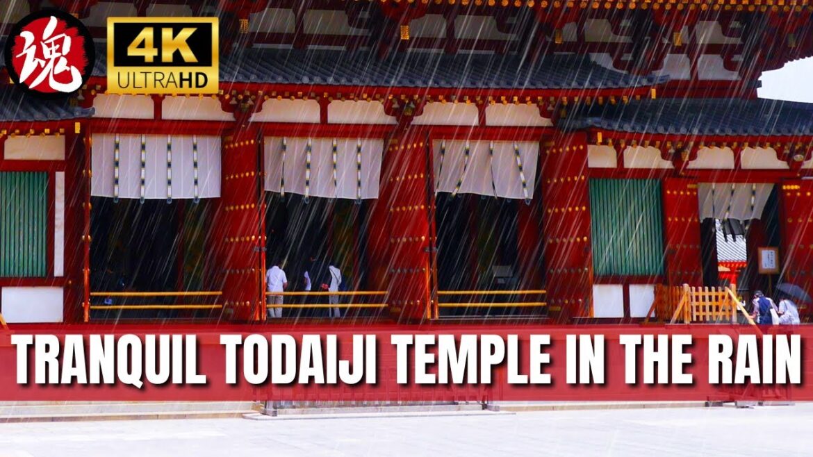 Heavy Rain at Todaiji Temple: Tranquil Storm in Ancient Nara | Japan