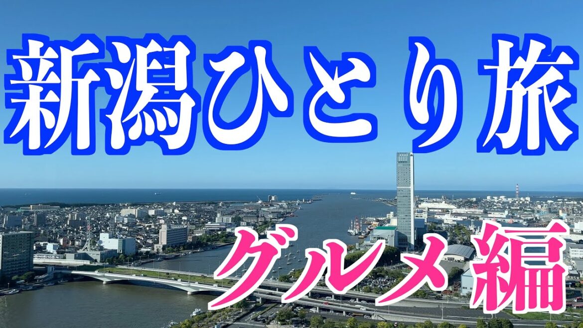 【新潟ひとり旅】名物グルメ＆新潟観光!!【居酒屋・旅行動画・国内旅行・青春１８きっぷ】