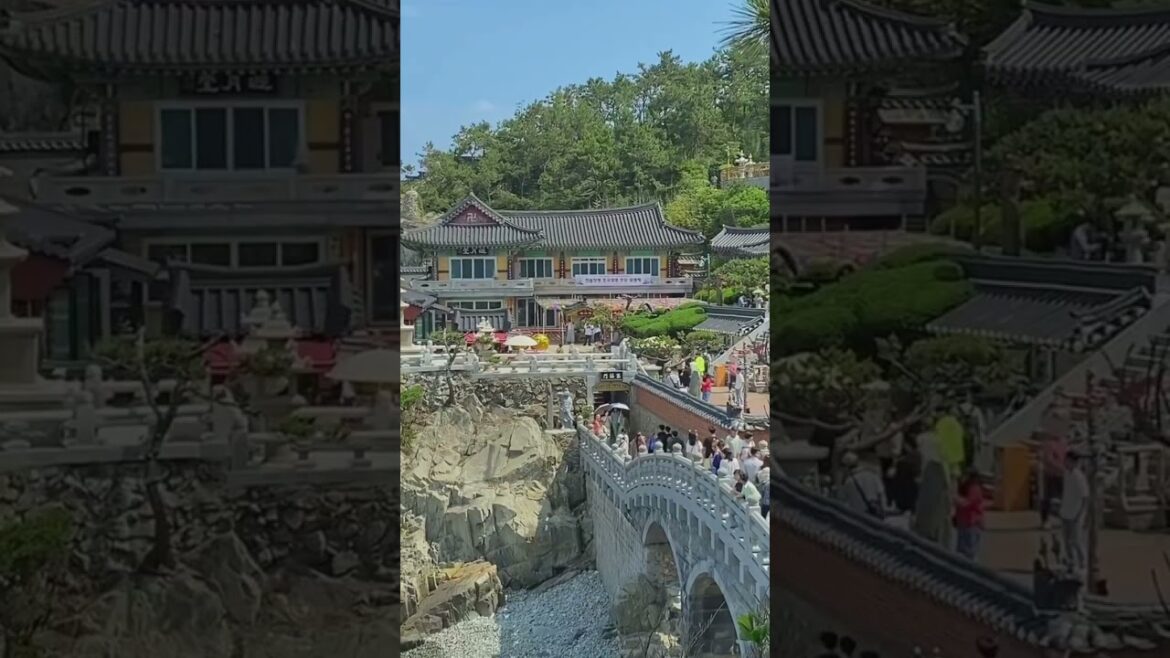 South Korea (Aesthetic & Lo-fi Vlog)