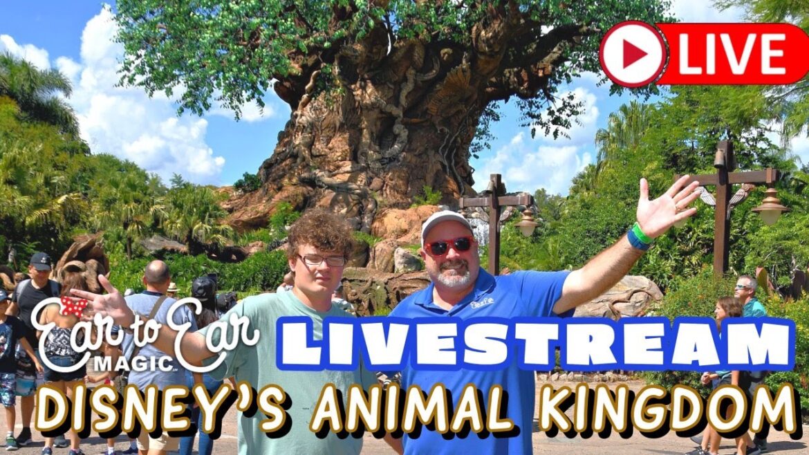 π΄ LIVE – Wild Wednesday Livestream – Disney Animal Kingdom 09.27.23 π΄ LIVE - Wild Wednesday Livestream - Disney Animal Kingdom 09.27.23