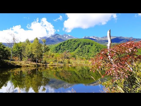 Driving to Norikura Highlands | 秋の気配を求めて乗鞍高原へ【ドライブ動画】 Driving to Norikura Highlands | 秋の気配を求めて乗鞍高原へ【ドライブ動画】
