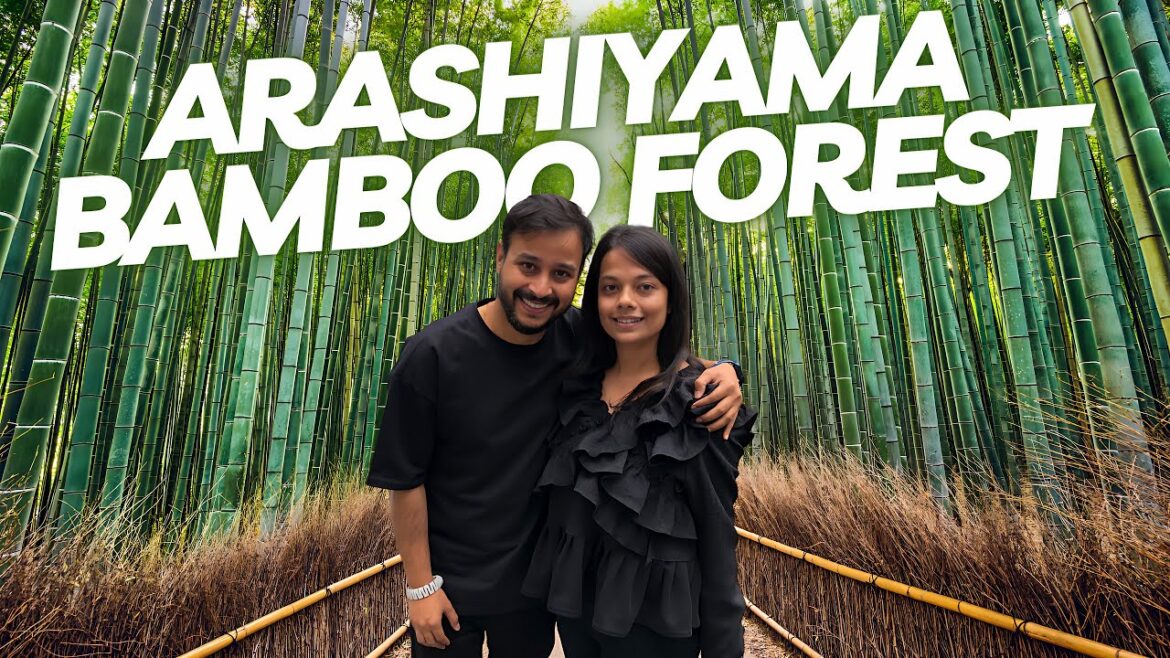 Arashiyama Bamboo Forest Japan | Famous Bamboo Forest Japan | Tenryuji Temple in Japan Kyoto #japan