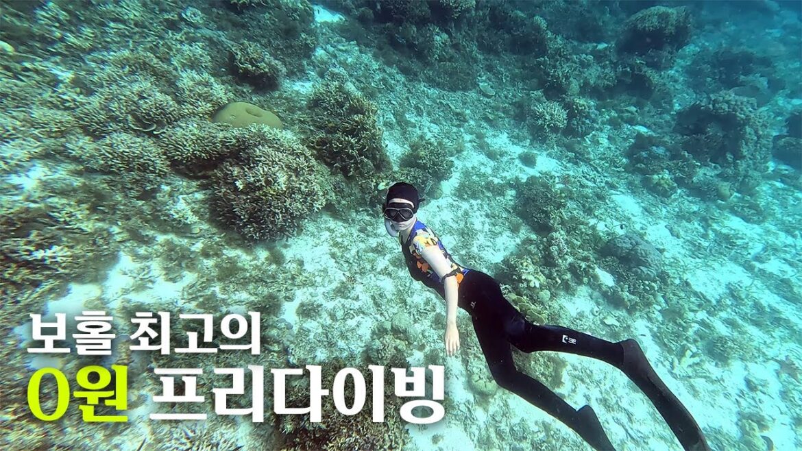 π΅π 보ν κ°μ±λΉ λνμ ν리λ€μ΄λΉ ν¬μΈνΈπ | λνΈλΉμΉ λ€μ΄λΉμ μ΄λ? | Doljo beach freediving π΅π 보ν κ°μ±λΉ λνμ ν리λ€μ΄λΉ ν¬μΈνΈπ | λνΈλΉμΉ λ€μ΄λΉμ μ΄λ? | Doljo beach freediving