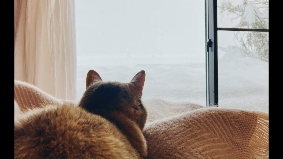 美しい琵琶湖の冬の装い雪景色・銀世界｜amazing lake biwa and white snow world - snow winter scenery - monochrome