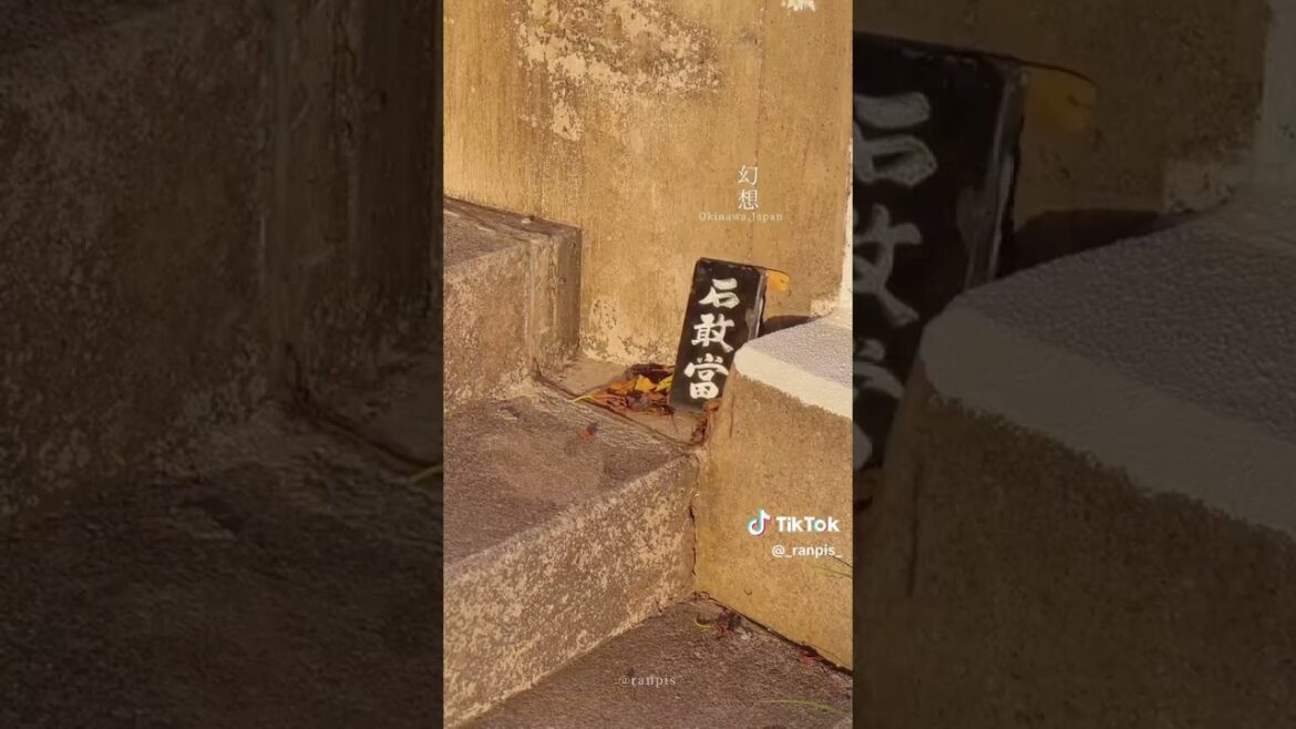 Okinawa, Japan #japan #okinawa #shorts