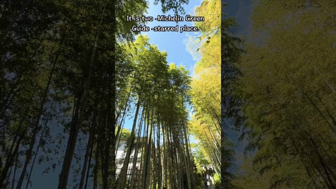 I saw Princess Kaguya #japan  #travel