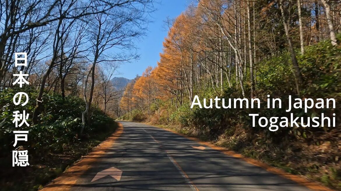 Autumn in Japan - The Road to Togakushi (4K) 日本の秋 戸隠への道