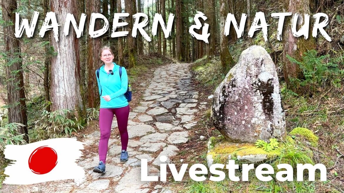 Wandern und Natur in Japan! [Livestream]