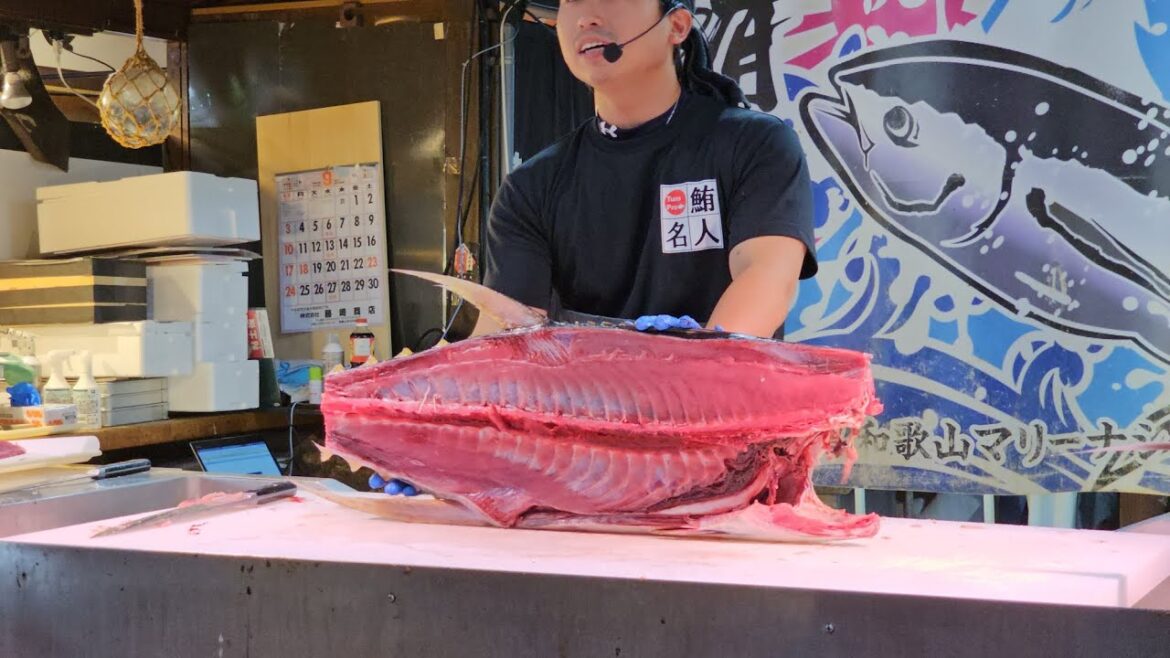 🇯🇵 Tuna Cutting Show at Kuroshio Market in Wakayama, biểu diễn cắt cá ngừ ở Nhật | Joshi YOLO