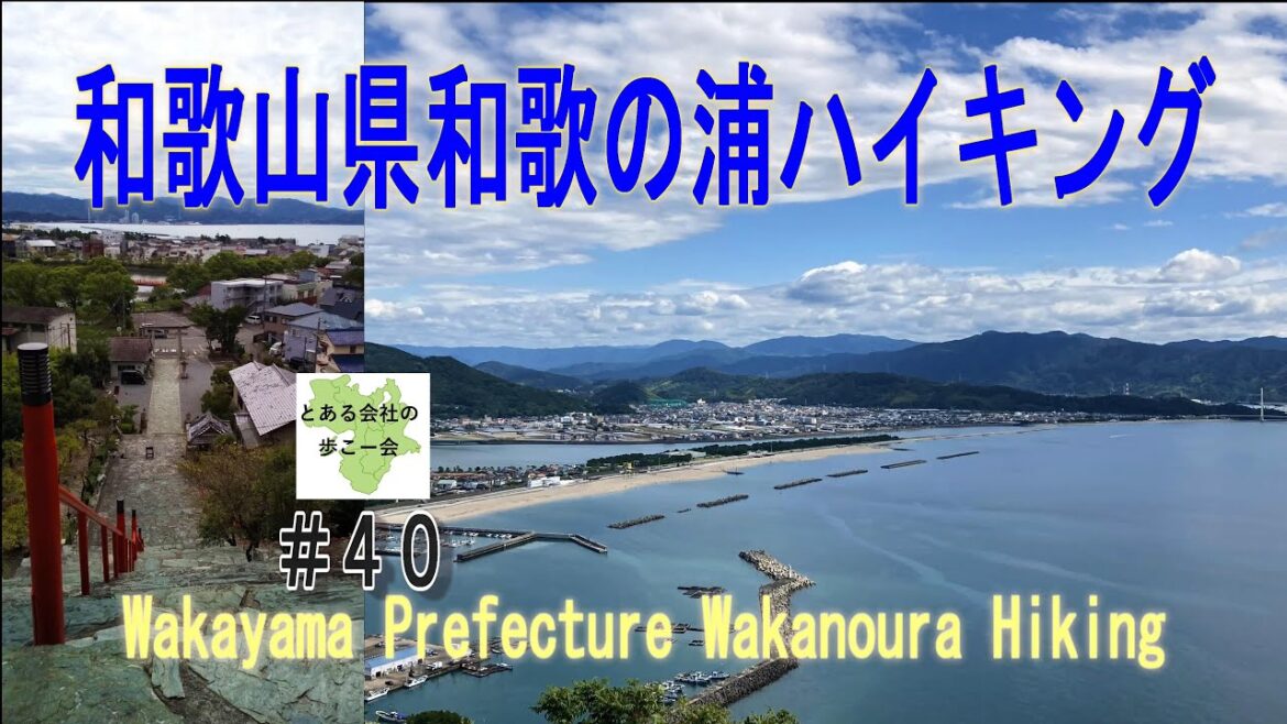 和歌山和歌の浦ハイキング【とある会社の歩こー会】#40 2023.9 Wakanoura hiking in Wakayama Prefecture, Japan 和歌山和歌の浦ハイキング【とある会社の歩こー会】#40 2023.9 Wakanoura hiking in Wakayama Prefecture, Japan