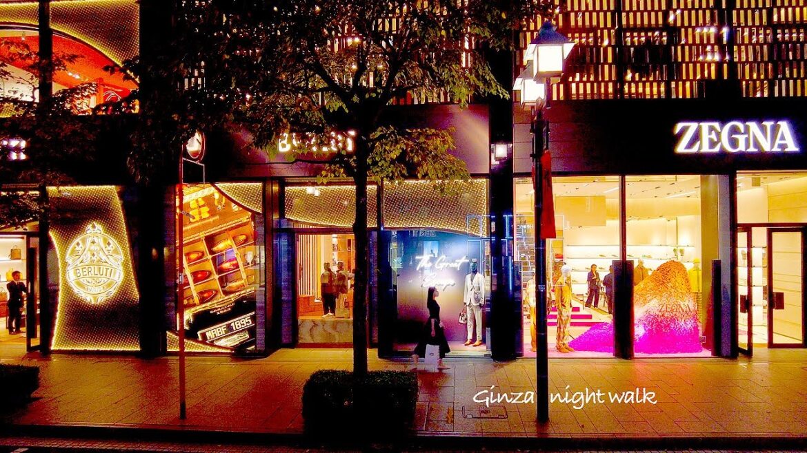 4K【銀座夜散歩】秋のショーウィンドウ ハイブランドな並木通りへ 2023 東京 Japan 4K【銀座夜散歩】秋のショーウィンドウ ハイブランドな並木通りへ 2023 東京 Japan