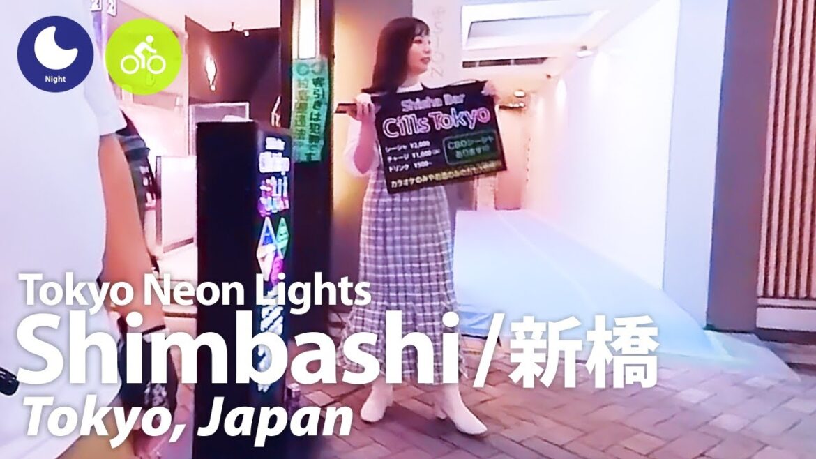 ⁴ᴷ Tokyo: Akasaka Station (赤坂駅) – Japan Cycling Tour (August, 2023) | Street Ambience ⁴ᴷ Tokyo: Akasaka Station (赤坂駅) - Japan Cycling Tour (August, 2023) | Street Ambience