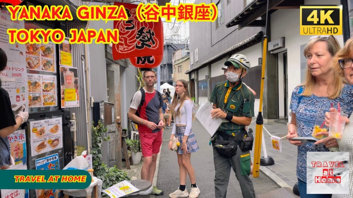 4k hdr japan travel | 1 Hour Walk in Yanaka Ginza(谷中銀座)Tokyo Japan |  Relaxing Natural City ambience 4k hdr japan travel | 1 Hour Walk in Yanaka Ginza(谷中銀座)Tokyo Japan |  Relaxing Natural City ambience