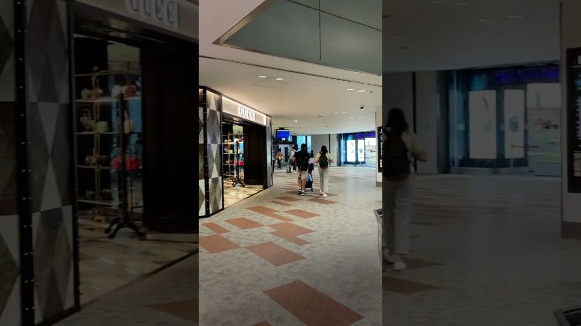 655 Inside of Narita Airport, Chiba