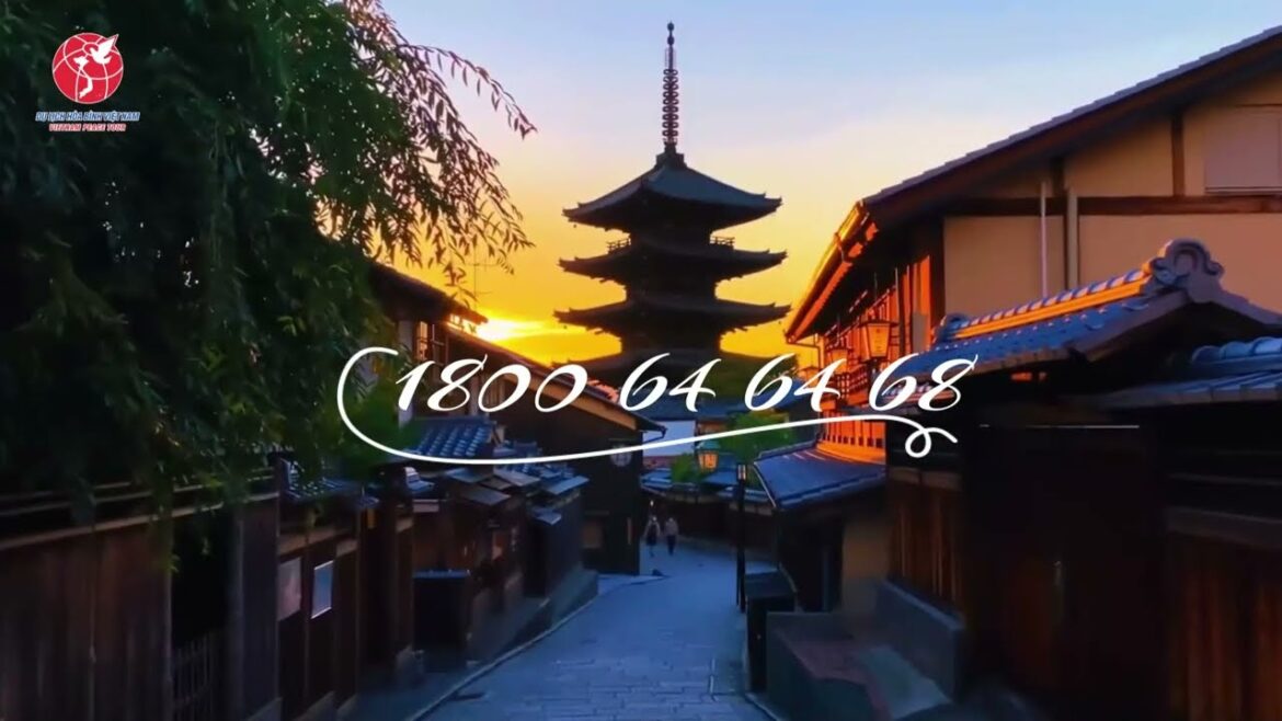 Du lịch Hòa Bình Việt Nam | Du lịch Mùa Thu Nhật Bản và Hàn Quốc | #dulichhoabinhvietnam #MùaThu2023