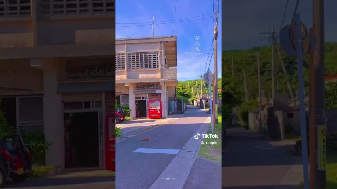 Okinawa, Japan #okinawa #japan #shorts