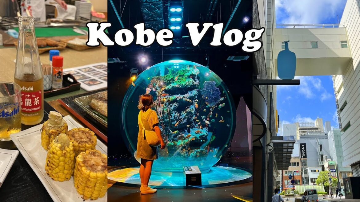 먹느라 쉴틈이 없는 #고베여행|🍞빵집투어, 이자카야, 고베 카페, 수족관|구글 지도 공유 먹느라 쉴틈이 없는 #고베여행|🍞빵집투어, 이자카야, 고베 카페, 수족관|구글 지도 공유