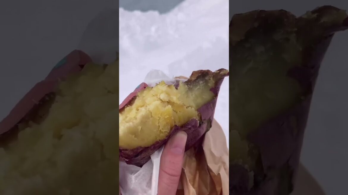 Panda Train Spectacle: A Must-See Experience in Kansai's Winter Wonderland! 🚆❄️ | Train Excursion