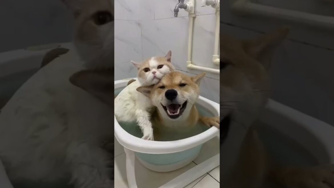 In every walk with nature #nature, #peaceful, #amazing, #amazon, #relax