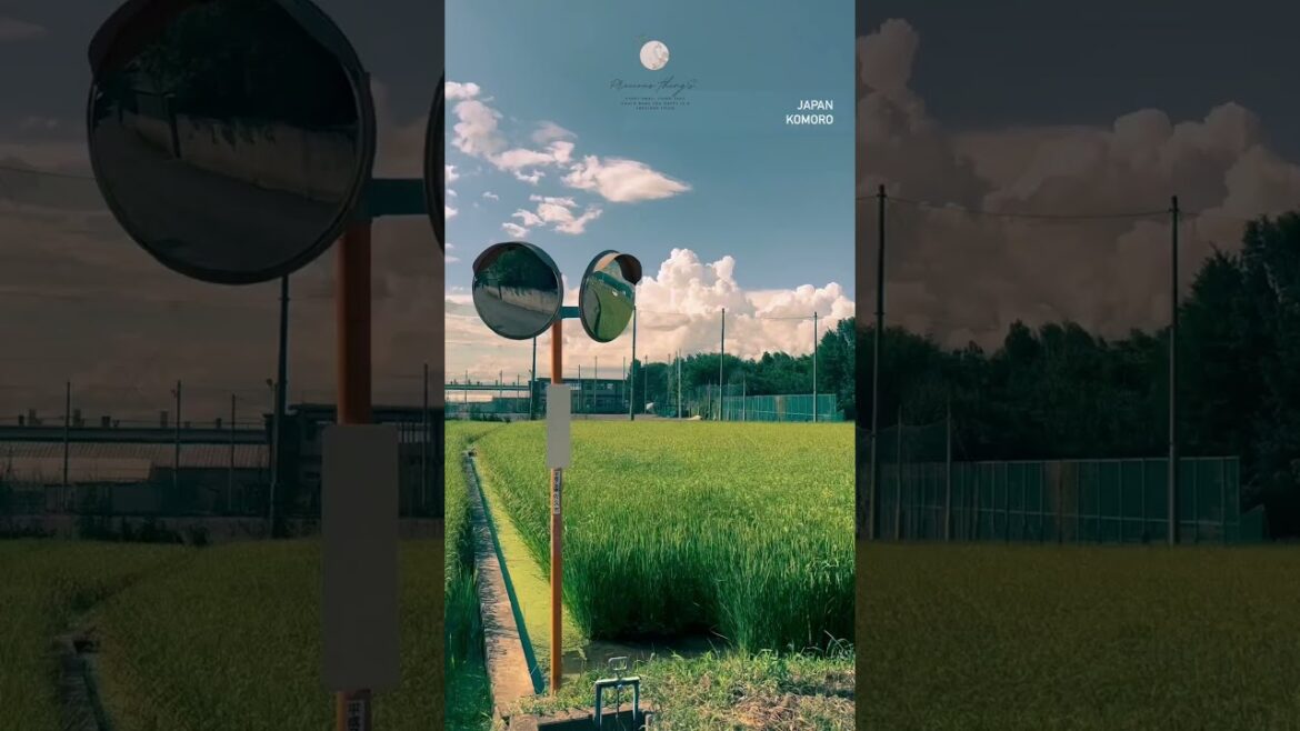 Komoro so BEAUTIFUL 🚋 #japan #komoro #adventure #travel #vlog #japantravel #preciosity #shorts