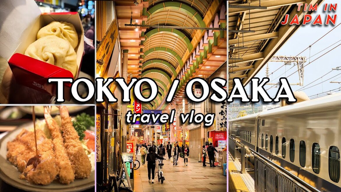Tokyo eating, thrifting, shopping & shinkansen to Osaka + amazing katsu | chill japan travel vlog