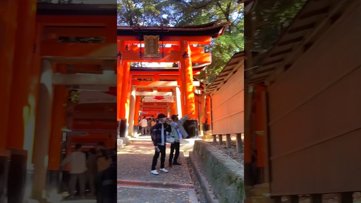 Inside Kyoto Mountain Fushimi Inari #japan Inside Kyoto Mountain Fushimi Inari #japan