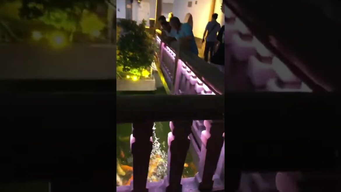 4K Japan Walk -  Shanghai Neighborhood Walking Tour | 中国　上海2021