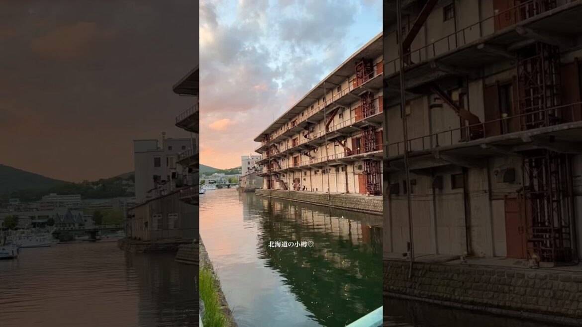 【小樽旅行まとめ！】北海道の小樽運河へ / Hokkaido Otaru Trip #short