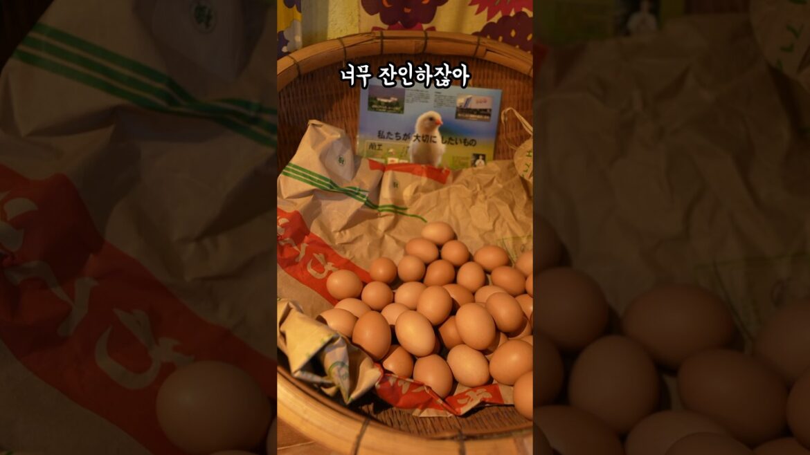 오사카 여행 지친 당신이 꼭 한번 들려야 할 회복 정식