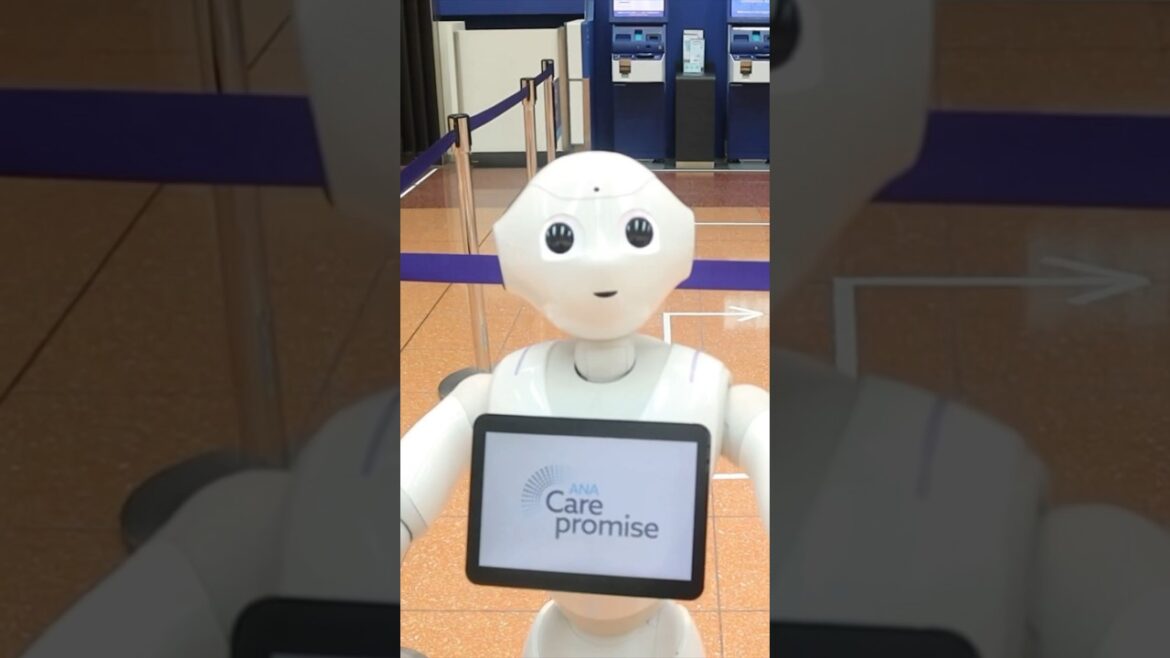 99%が知らない飛行機修行！ #Shorts