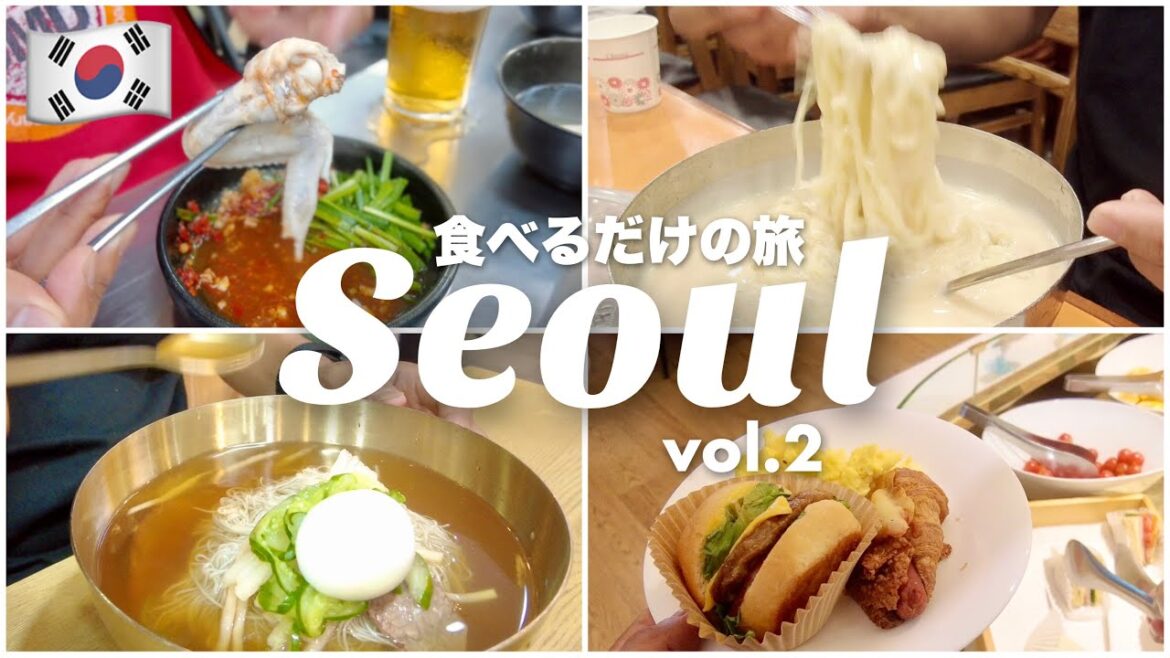 【🇰🇷ソウル Vlog 旅行 2023 韓国 弾丸 グルメ 一人旅 vol.2】 6年連続ミシュランの冷麺 絶対美味しいタッカンマリ 夏はコングクス JIN AIRで関空