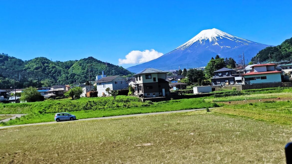 SPECIAL / O oră de Japonia. Tot ce am văzut în călătoria din 2023