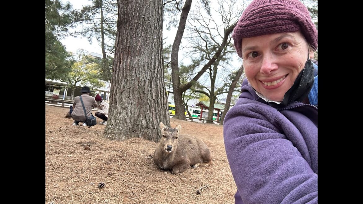 Alpos Food Travel: Osaka - Nara Deer Park