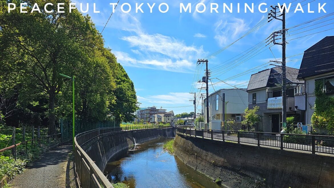 Live Tokyo Walk - Futako-Tamagawa to Seijogakuenmae via Sengawa - Finally Autumn!