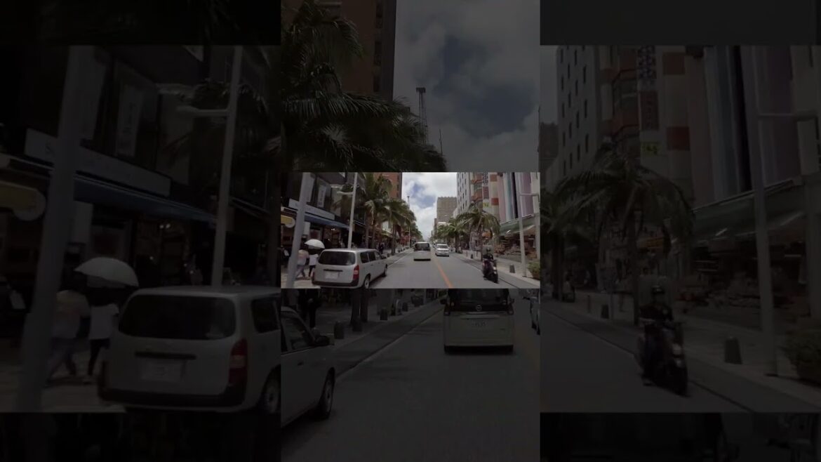 Okinawa Japan a short guide Vol #6