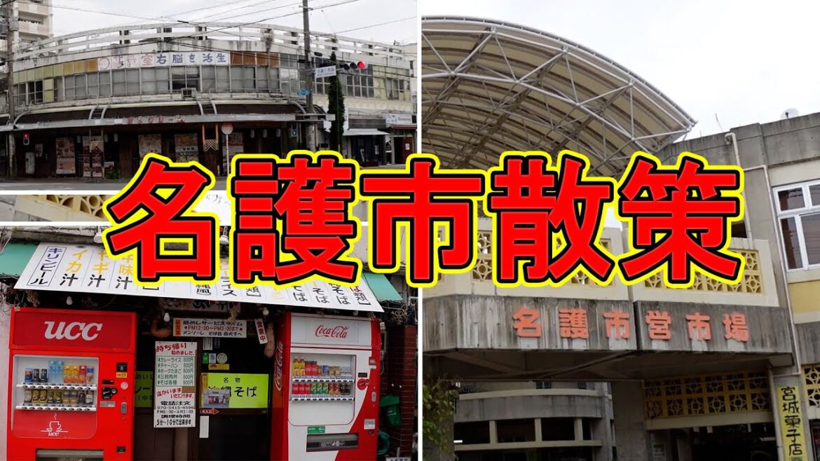 【沖縄旅行】沖縄女子ひとり旅で名護市を散策。名護市営市場から繁華街、ひんぷんガジュマルまで【名護市】