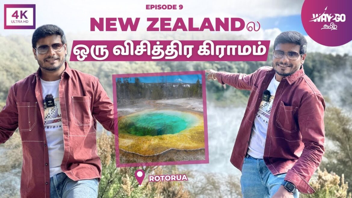 Strange Village in New Zealand | கிராமத்துல எங்க பார்த்தாலும் புகையா இருக்கு| Rotorua | Way2go தமிழ்
