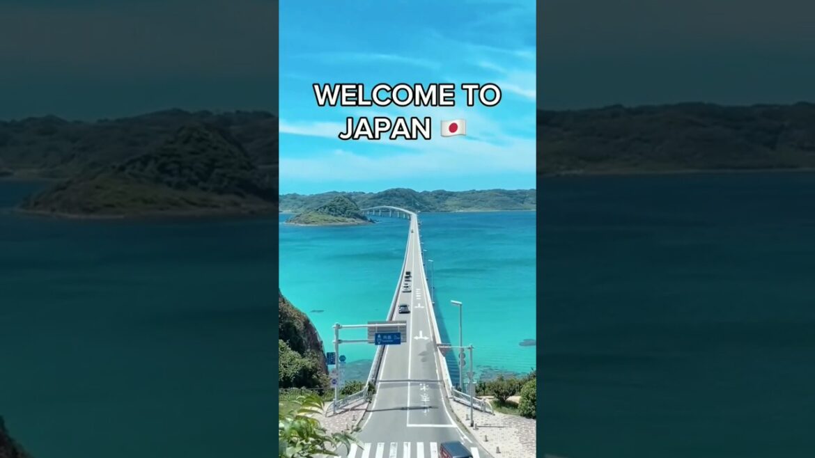Japan is Wonderful 💛 #shorts #shortsfeed #tiktok #fyp #destinations