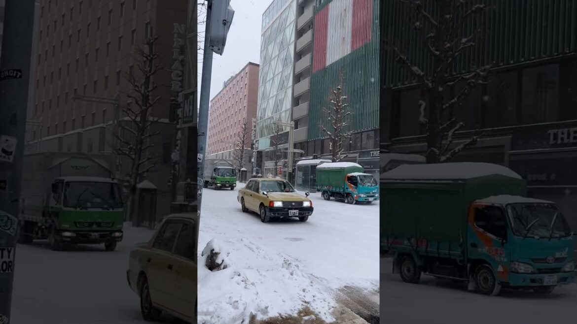 What it looks like in Sapporo during heavy snowfall ❄️         #Japan #Hokkaido #Sapporo #Winter