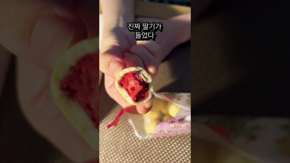 홋카이도 여행 왔을때 꼭 먹어봐야하는 초콜릿 #일본여행 #홋카이도여행 #삿포로여행 #롯카테이 #초콜릿 #SHORTS