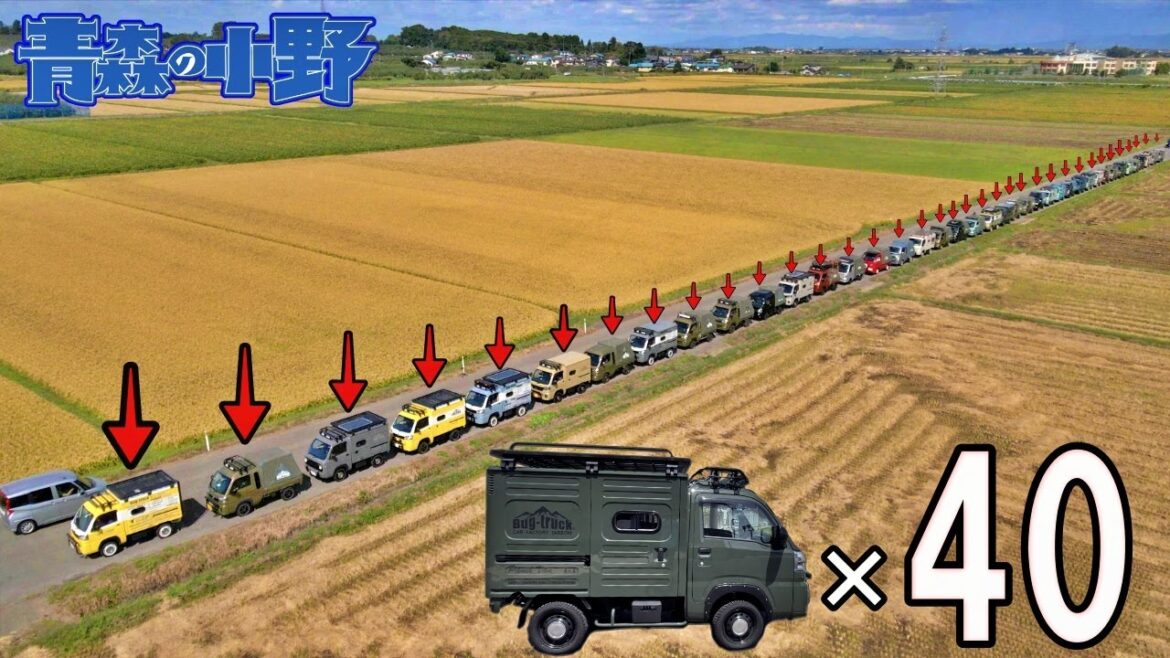 [Bug-truck] 圧巻 40台！バグトラックが青森に大集合！軽トラ車中泊キャンピングカー ソロキャンプ バグトラックミーティング