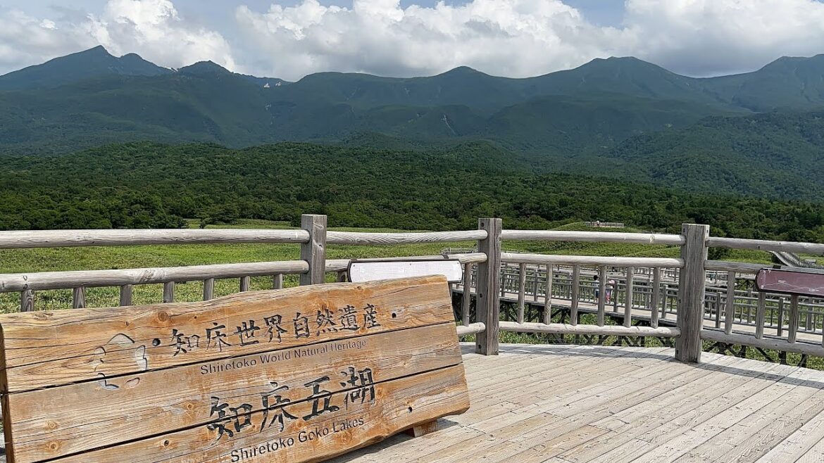 Shiretoko Goko Lake Walk #知床五湖 #shiretoko #japanwalk #walkingtour #hokkaido #shiretokogoko