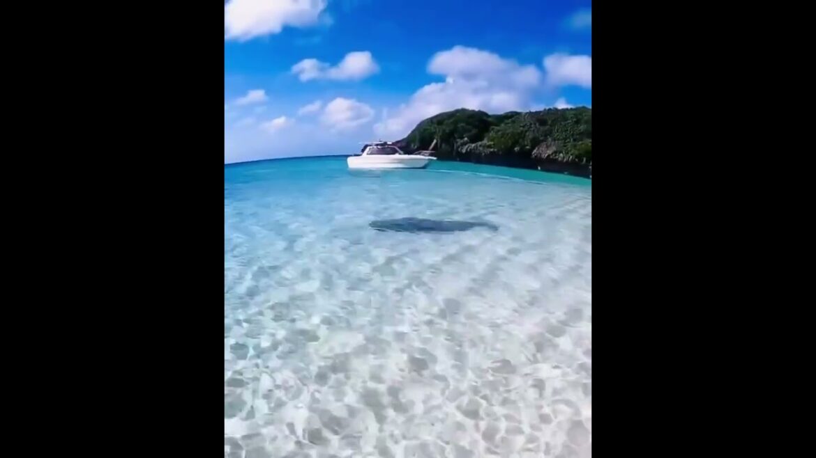 Beach in Okinawa, Japan. Okinawa is also known as Hawaii of Japan #Shorts