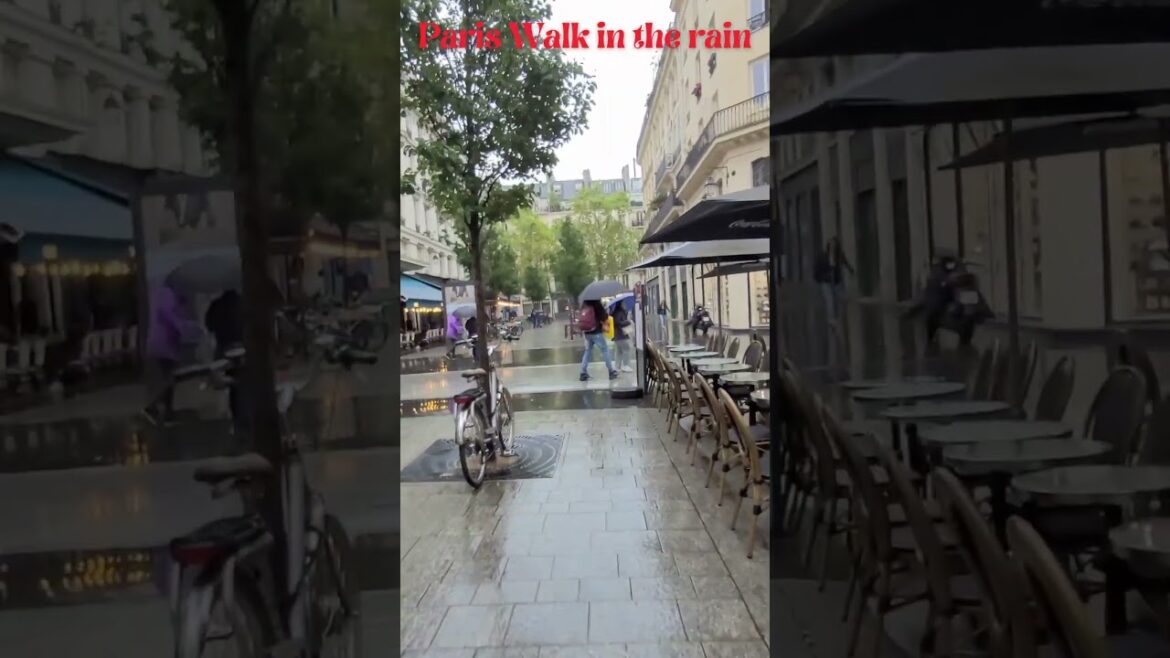 Paris Walk in the #rain  #paris #shorts #walking