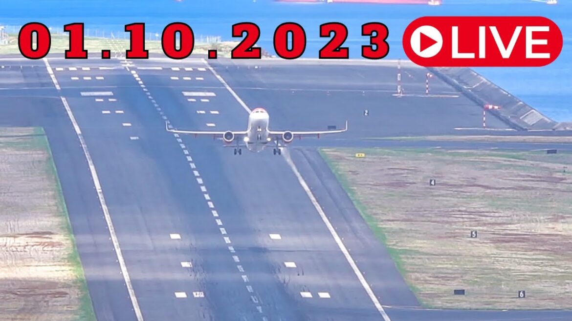 LIVE From Madeira Island Airport 01.10.2023