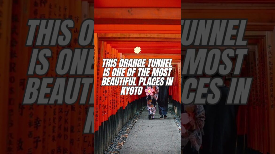 Japan in the spring is magical 🌸 #japan #traveljapan  #bestdestinationstotravel #asia