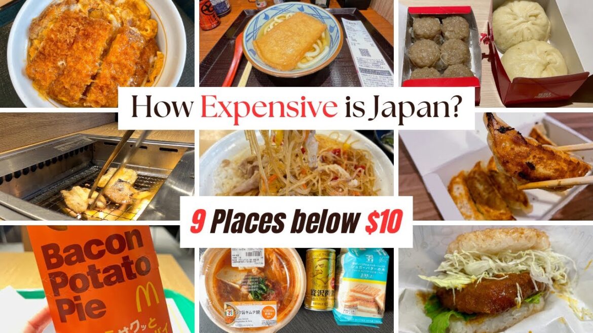 Solo Travel Vlog: Japan on a Budget – 9 Places below $10 日本 Solo Travel Vlog: Japan on a Budget - 9 Places below $10 日本