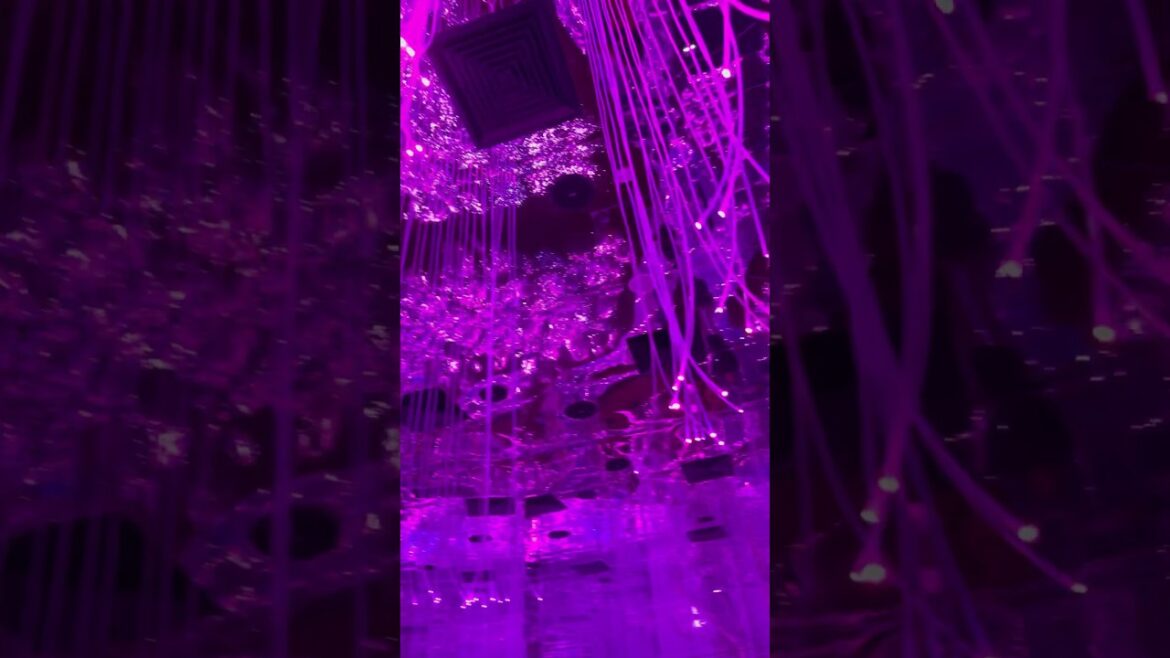 Dubai 🔥🥵🇦🇪  #shorts #dubai #pakistan #indiapakistan #love #travel #india #dubailife Dubai 🔥🥵🇦🇪  #shorts #dubai #pakistan #indiapakistan #love #travel #india #dubailife