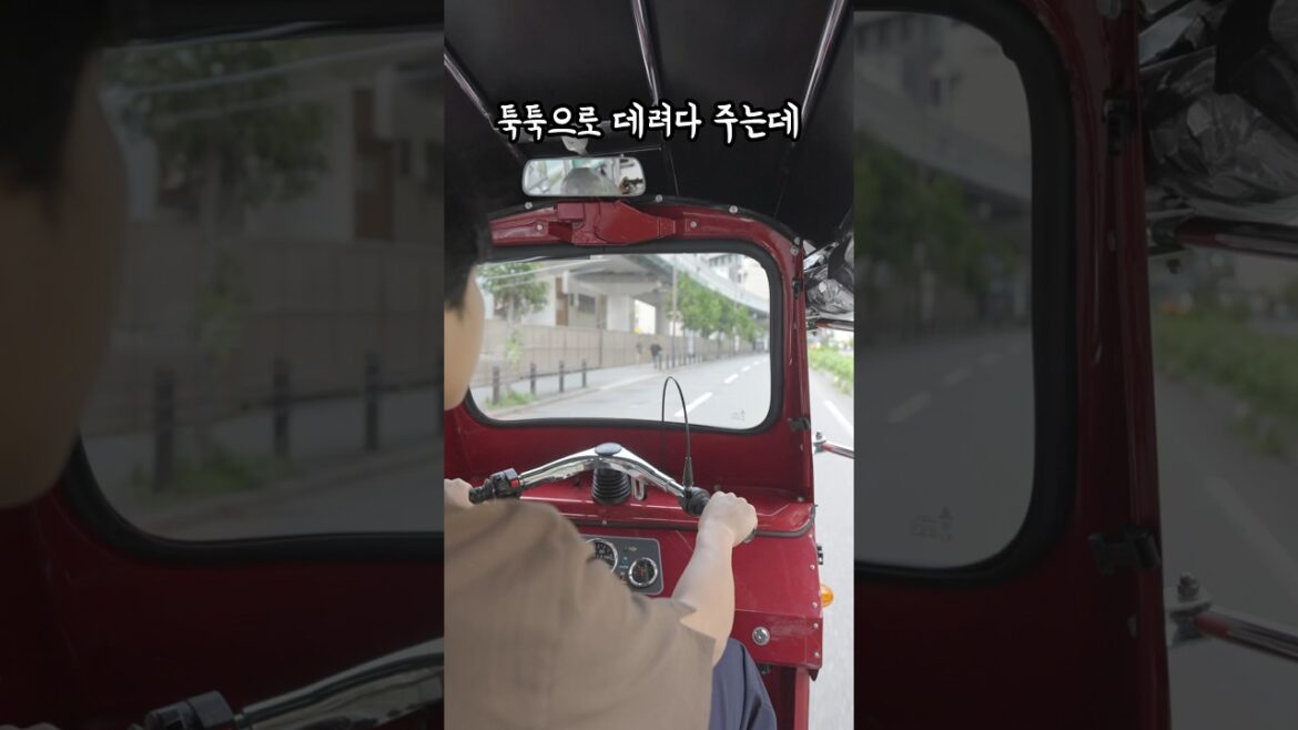 오사카 여행 신상 5성급 호텔에서 태국 리조트 향기가 난다